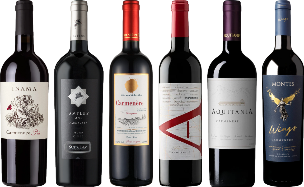 Carmenere Verkostungsset