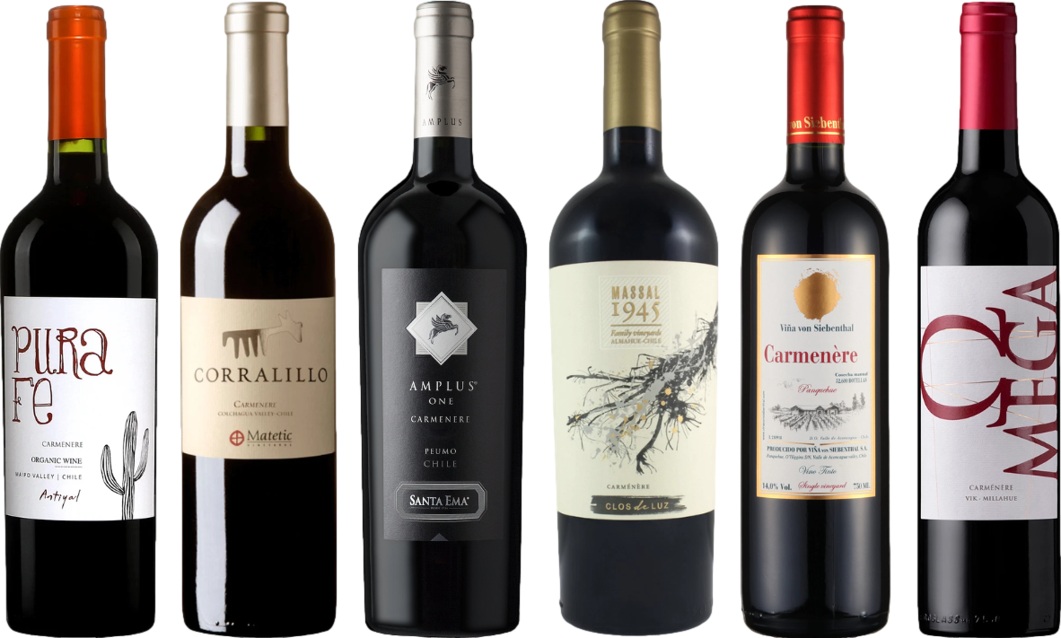 Carmenere Verkostungsset