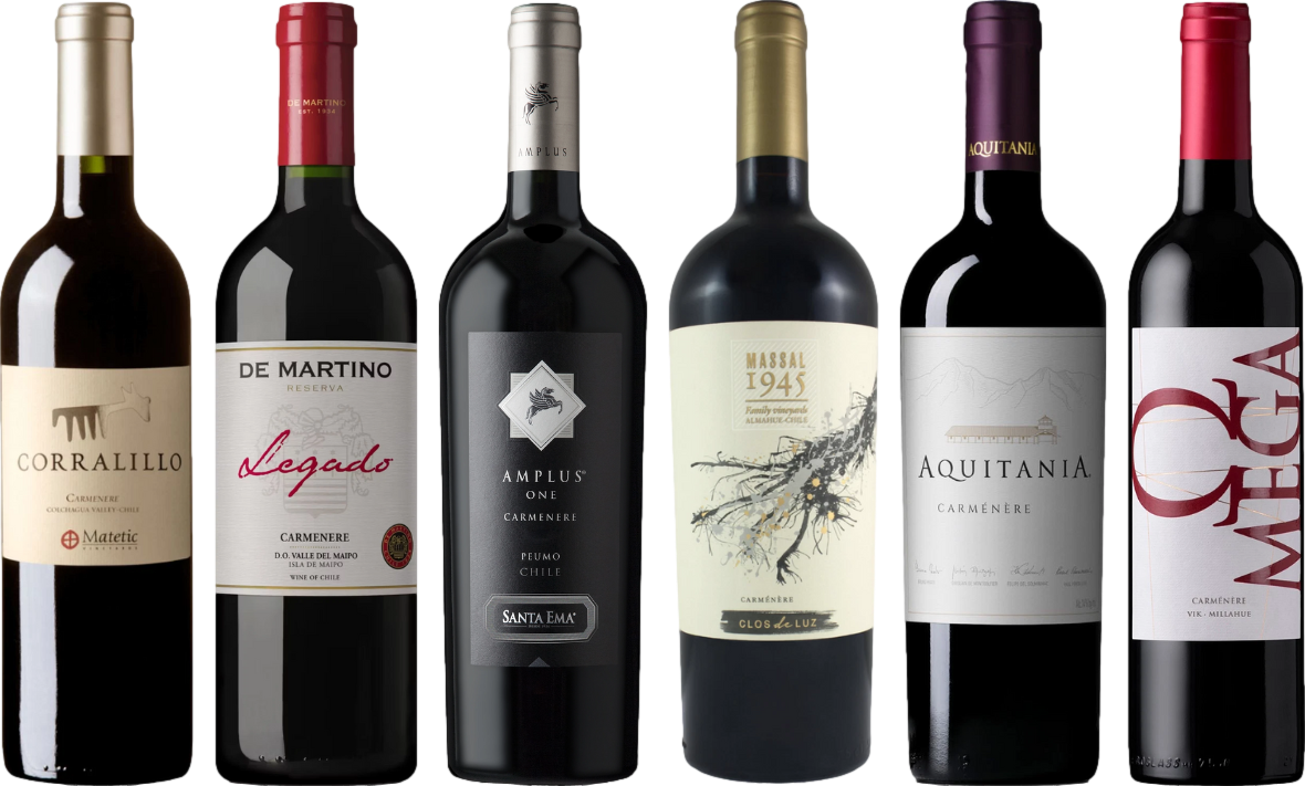 Carmenere Verkostungsset