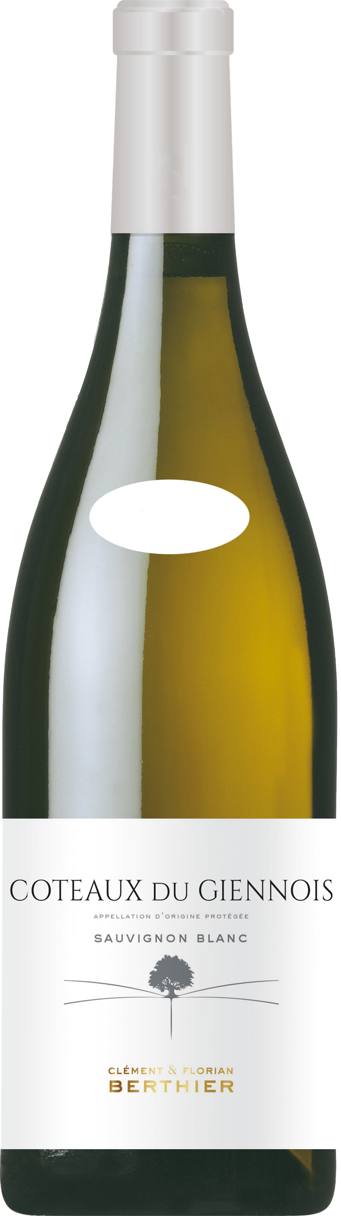 Clement & Florian Berthier Coteaux du Giennois Blanc 2024