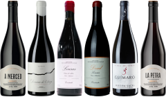 Mencia Premium Verkostungsset