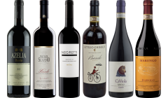 Hochwertiges Barolo Verkostungsset