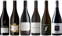 Neuseeland Pinot Noir Premium Verkostungsset