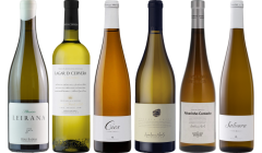 Albarino Premium Verkostungsset