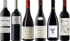 Ribera del Duero Premium Verkostungset