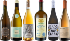 Orange Wein Premium Verkostungsset