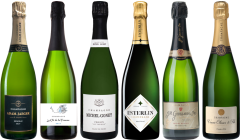 Hochwertiges Champagner-Verkostungsset