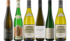 Gruener Veltliner Premium Verkostungsset