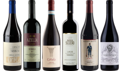 Langhe Nebbiolo Premium Verkostungsset