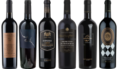 Primitivo Premium Verkostungsset