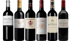 Bordeaux Rot Verkostungsset