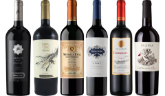 Carmenere Verkostungsset