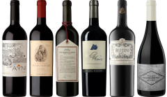 Argentinischer Malbec Premium Verkostungsset