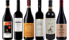Hochwertiges Barolo Verkostungsset