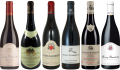 Gevrey Chambertin Verkostungsset