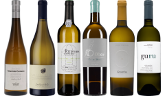 Portugiesischer Weißwein Premium Verkostungsset