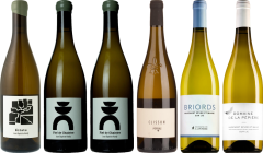 Muscadet Premium Verkostungsset
