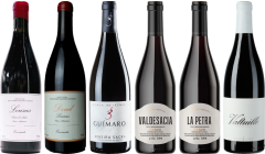 Mencia Premium Verkostungsset