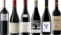 Ribera del Duero Premium Verkostungset