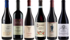 Langhe Nebbiolo Premium Verkostungsset