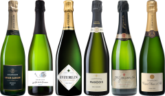 Hochwertiges Champagner-Verkostungsset