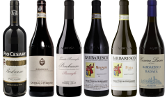 Barbaresco Premium Verkostungsset