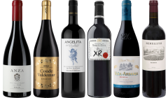 Rioja Premium Verkostungsset