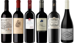 Argentinischer Malbec Premium Verkostungsset