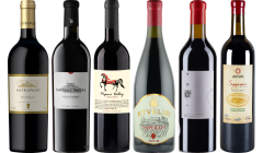 Georgien Saperavi Premium Verkostungsset