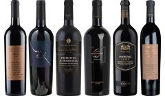Primitivo Premium Verkostungsset