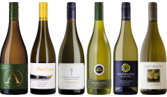 Neuseeland Sauvignon Blanc Premium Verkostungsset