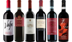 Valpolicella Ripasso Premium Verkostungsset
