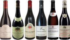 Gevrey Chambertin Verkostungsset