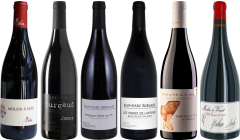 Beaujolais Premium Verkostungsset
