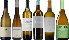 Portugiesischer Weißwein Premium Verkostungsset