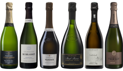 Vintage Champagne Premium Verkostungsset