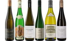 Gruener Veltliner Premium Verkostungsset