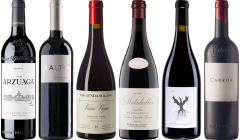 Ribera del Duero Premium Verkostungset