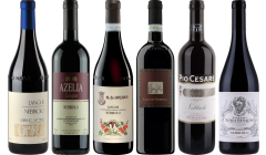 Langhe Nebbiolo Premium Verkostungsset