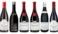 Marsannay Premium Verkostungsset 
