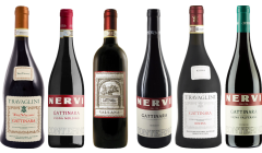 Piemonte Gattinara Premium Verkostungsset