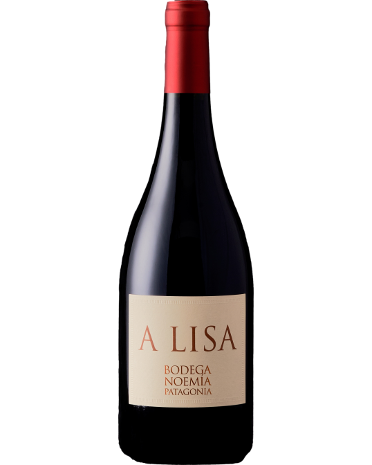 Bodega Noemia A Lisa 2018