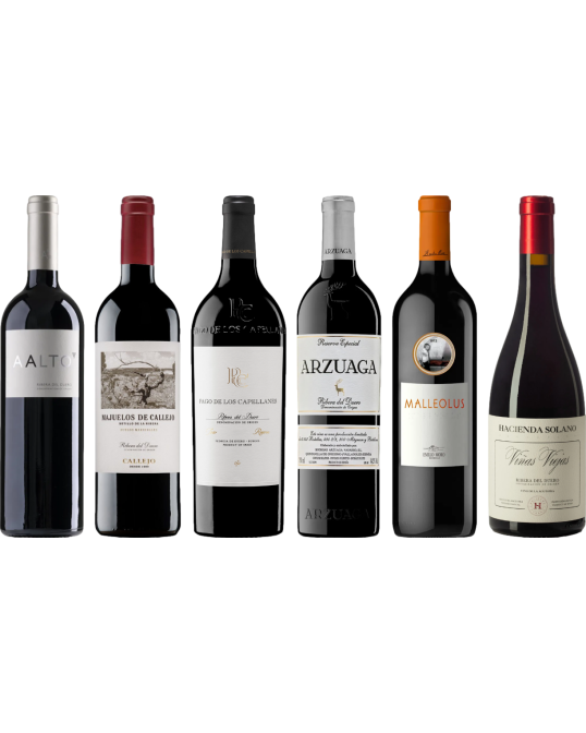 Ribera del Duero Premium Verkostungset