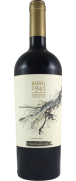 Clos de Luz Massal 1945 Carmenere 2020