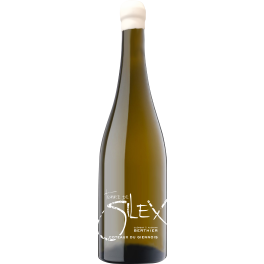 Clement & Florian Berthier Coteaux du Giennois Terre de Silex 2023