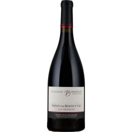 Domaine Jean-Marc & Hugues Pavelot Savigny les Beaune Premier Cru Aux Gravains 2018