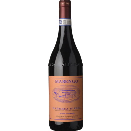 Marengo Barbera d'Alba Pugnane 2024