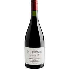 Zuccardi Poligonos Paraje Altamira Cabernet Franc 2020
