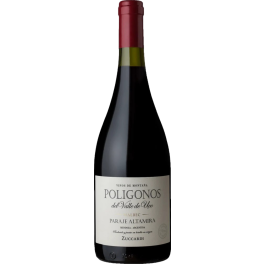Zuccardi Poligonos Paraje Altamira Malbec 2023