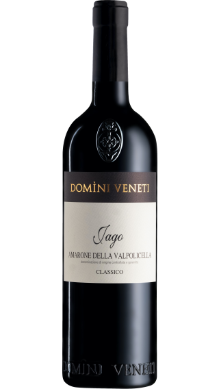 Bottle of Domini Veneti Vigneti di Jago Amarone della Valpolicella Classico 2016 wine 750 ml